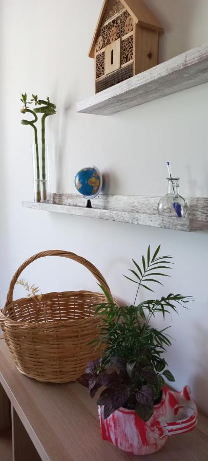 Lily Home_Lefkada ~ Private Country House Kondaraíni Екстериор снимка