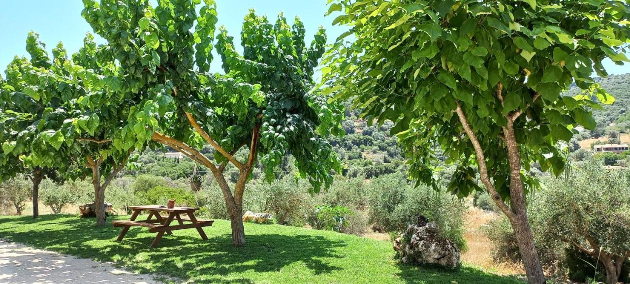 Lily Home_Lefkada ~ Private Country House Kondaraíni Екстериор снимка