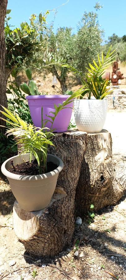 Lily Home_Lefkada ~ Private Country House Kondaraíni Екстериор снимка