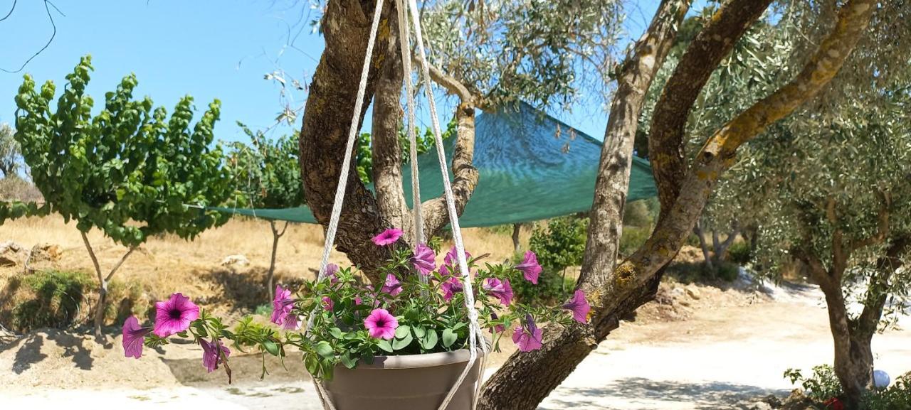 Lily Home_Lefkada ~ Private Country House Kondaraíni Екстериор снимка