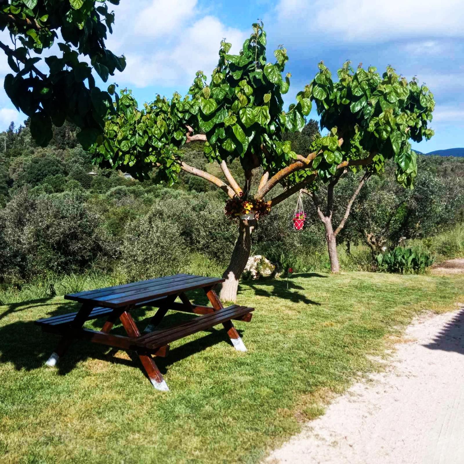 Lily Home_Lefkada ~ Private Country House Kondaraíni Екстериор снимка