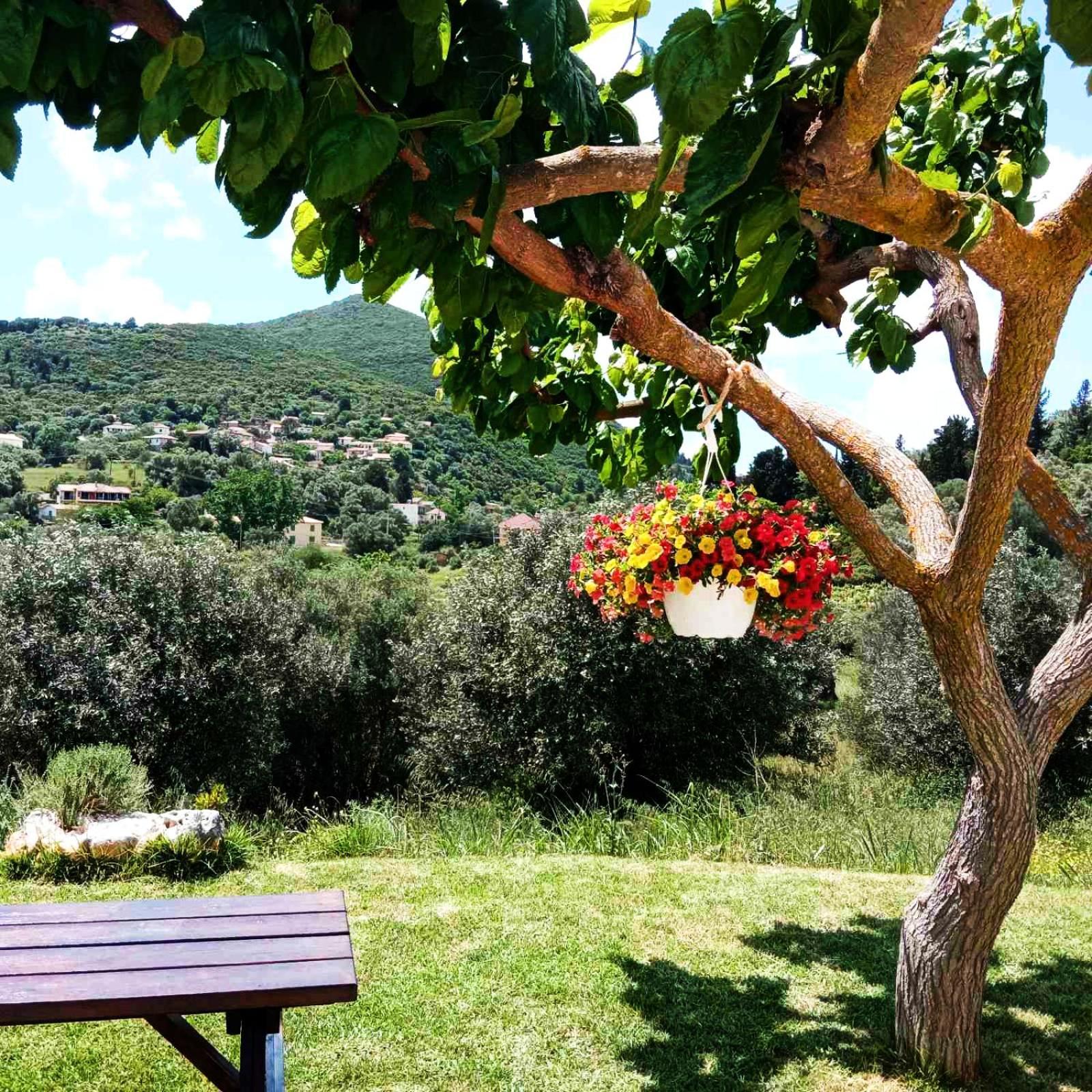 Lily Home_Lefkada ~ Private Country House Kondaraíni Екстериор снимка